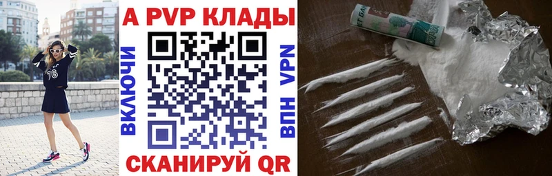 A PVP СК КРИС Кедровый