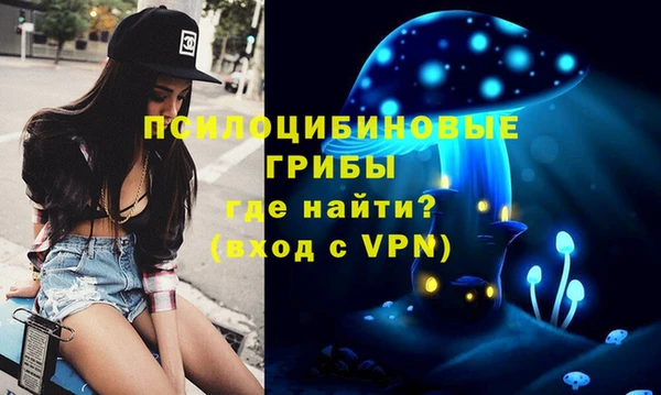 ешки Алексеевка