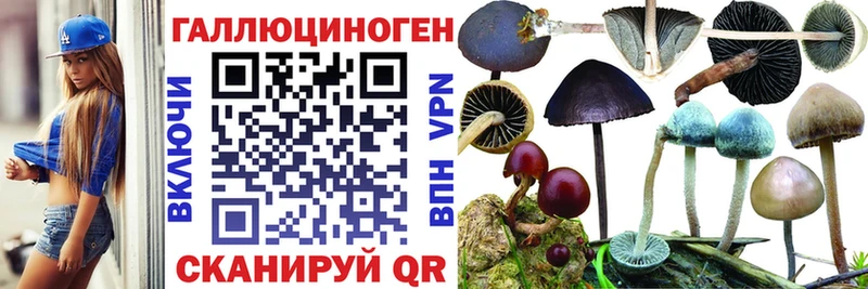 Галлюциногенные грибы MAGIC MUSHROOMS Кедровый