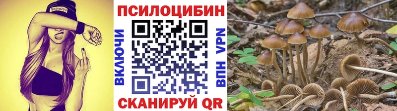 MEGA ССЫЛКА  мориарти Telegram  Псилоцибиновые грибы Magic Shrooms  Кедровый 