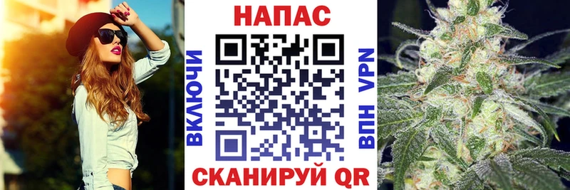 продажа наркотиков Кедровый Канабис сатива
